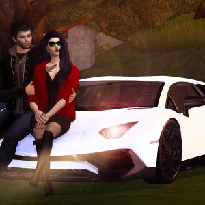 Die Tiere im Tiergarten