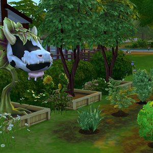 Клавдия Петровна