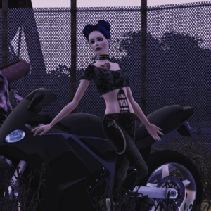 Терри Ларден