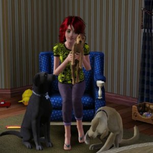 Наши любимцы