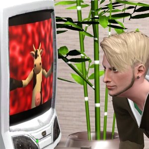 Джейкоб Кельн