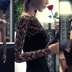 Терри Ларден