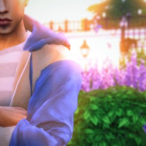 Без названия