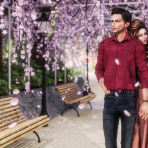 Когда цветет сакура